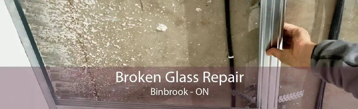 Broken Glass Repair Binbrook - ON