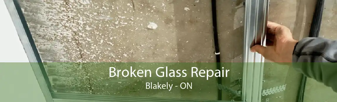 Broken Glass Repair Blakely - ON