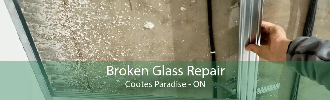 Broken Glass Repair Cootes Paradise - ON