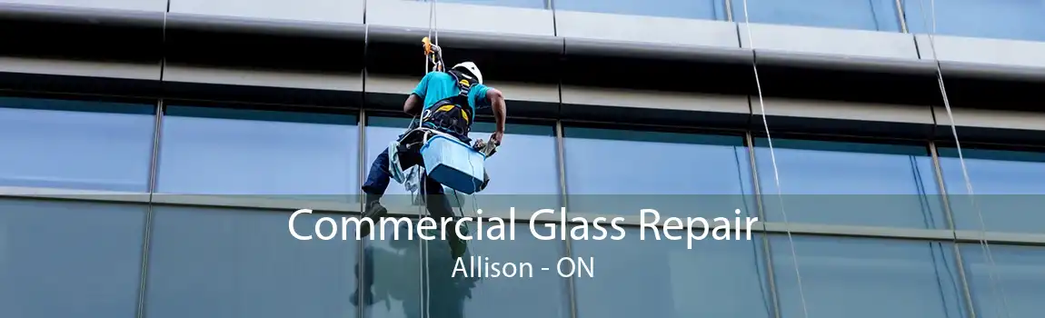 Commercial Glass Repair Allison - ON