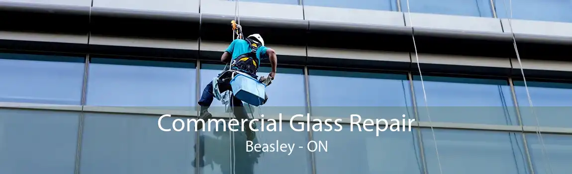 Commercial Glass Repair Beasley - ON