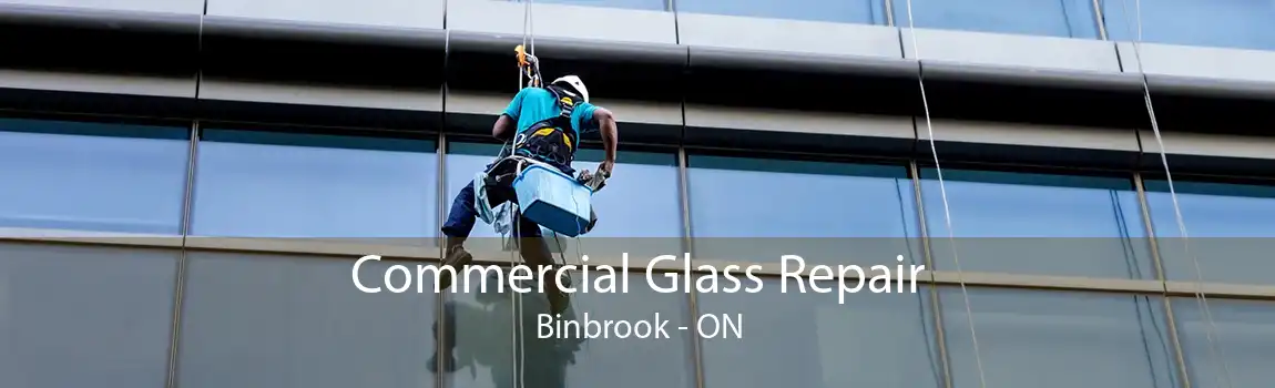 Commercial Glass Repair Binbrook - ON