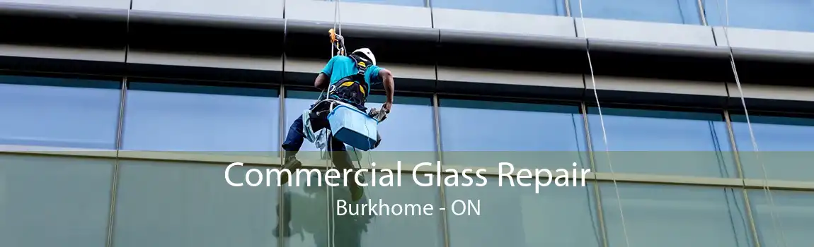 Commercial Glass Repair Burkhome - ON