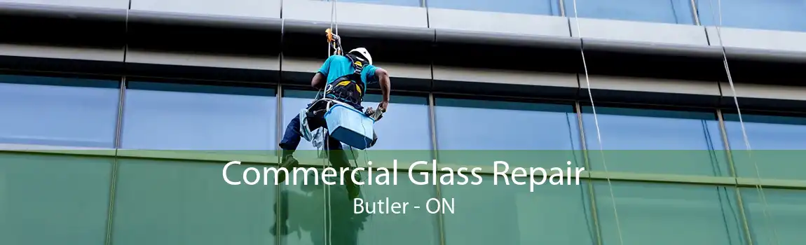 Commercial Glass Repair Butler - ON