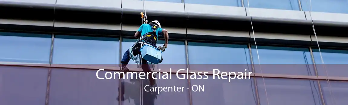 Commercial Glass Repair Carpenter - ON