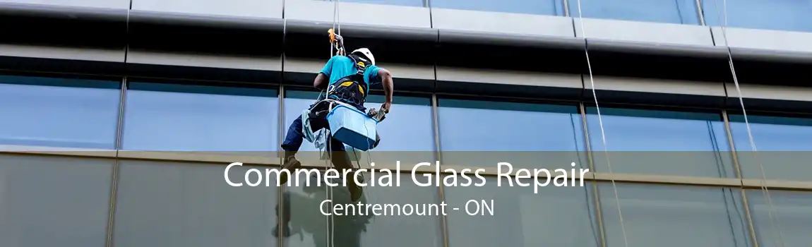 Commercial Glass Repair Centremount - ON