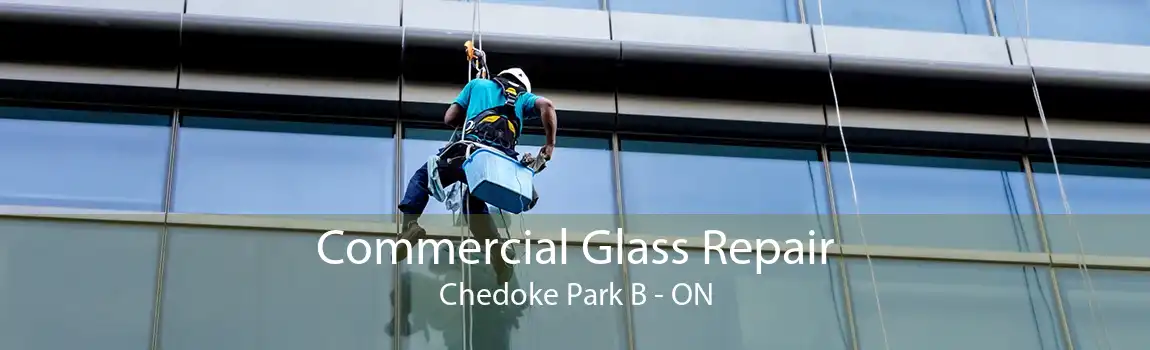 Commercial Glass Repair Chedoke Park B - ON
