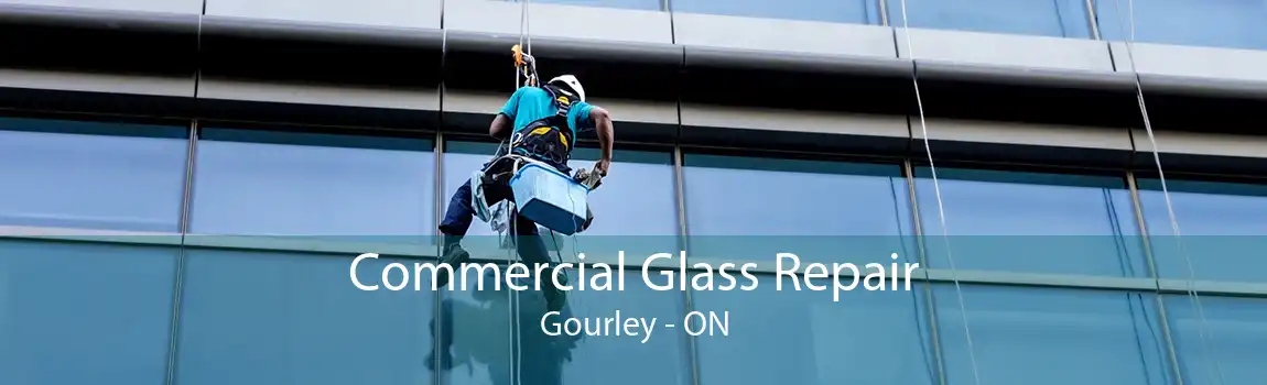 Commercial Glass Repair Gourley - ON