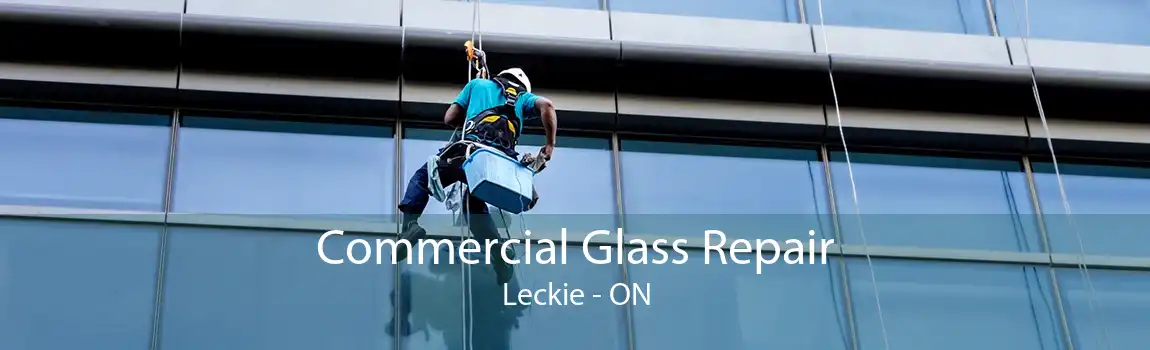 Commercial Glass Repair Leckie - ON