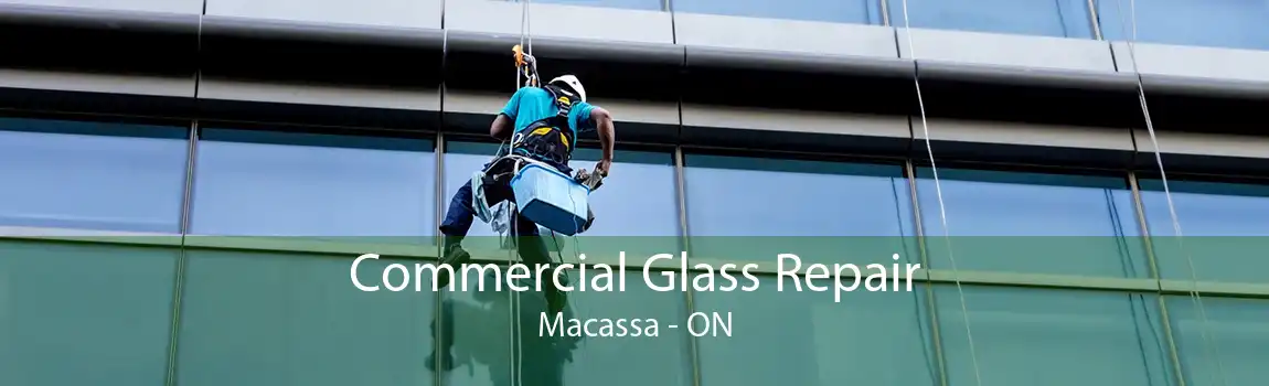 Commercial Glass Repair Macassa - ON