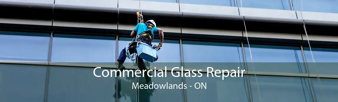 Commercial Glass Repair Meadowlands - ON