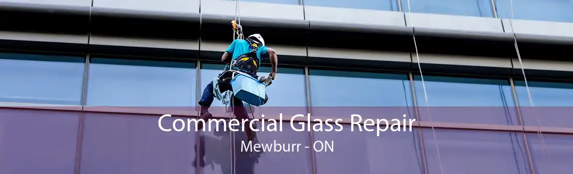 Commercial Glass Repair Mewburr - ON