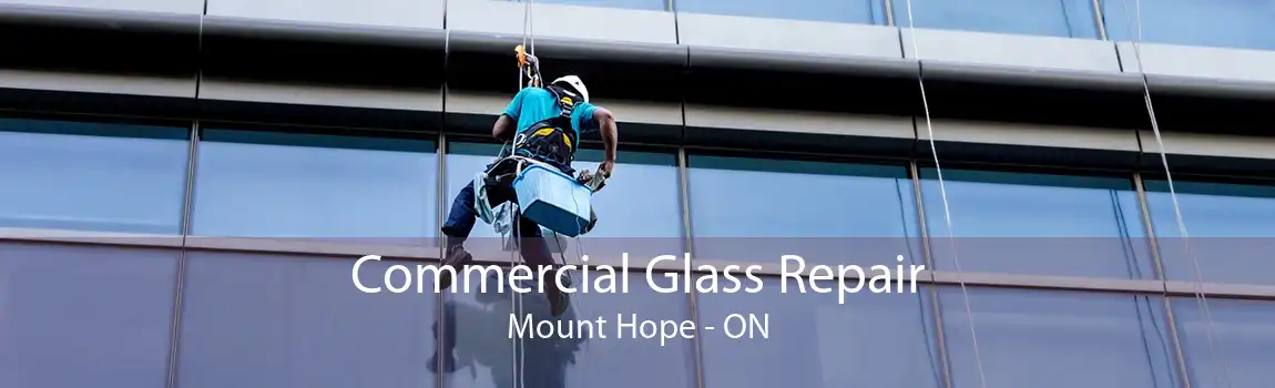 Commercial Glass Repair Mount Hope - ON