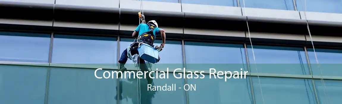 Commercial Glass Repair Randall - ON