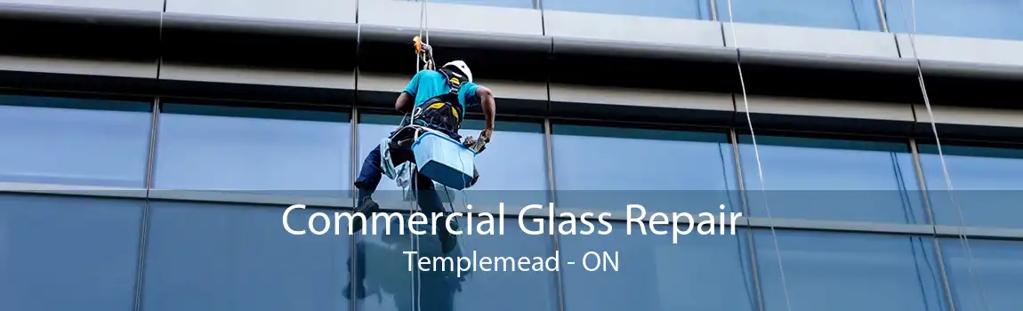 Commercial Glass Repair Templemead - ON