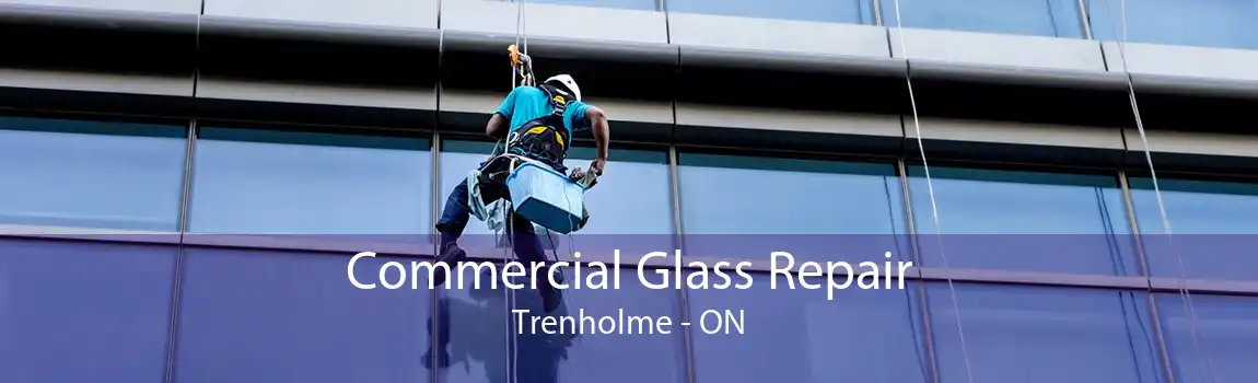 Commercial Glass Repair Trenholme - ON