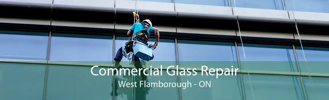 Commercial Glass Repair West Flamborough - ON