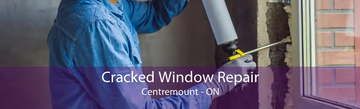 Cracked Window Repair Centremount - ON