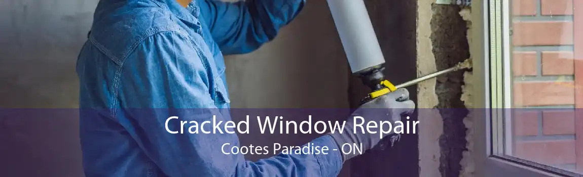 Cracked Window Repair Cootes Paradise - ON