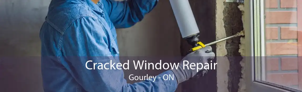 Cracked Window Repair Gourley - ON
