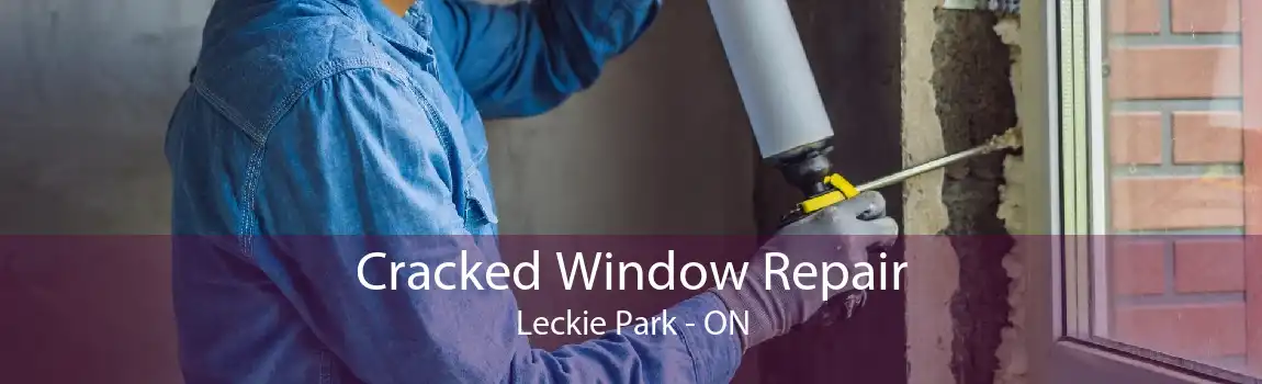 Cracked Window Repair Leckie Park - ON