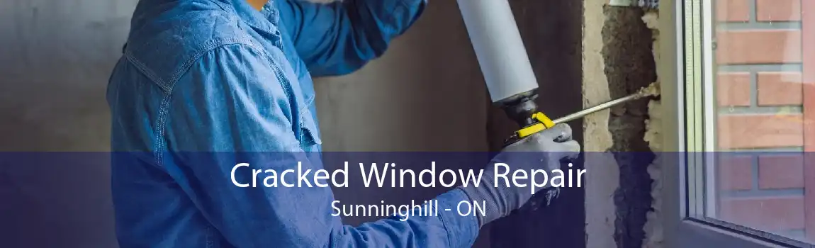 Cracked Window Repair Sunninghill - ON