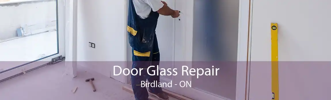 Door Glass Repair Birdland - ON