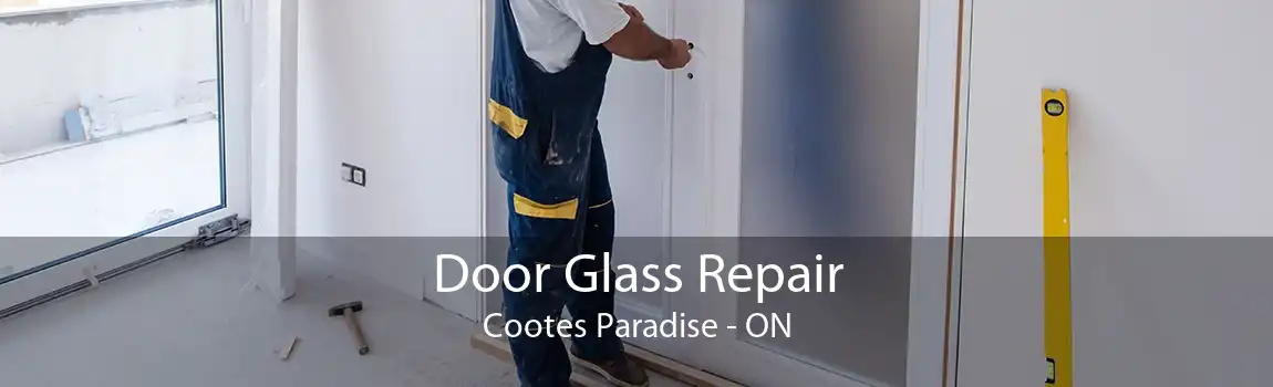Door Glass Repair Cootes Paradise - ON