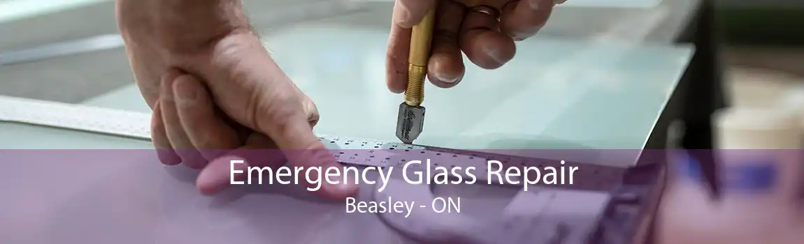 Emergency Glass Repair Beasley - ON