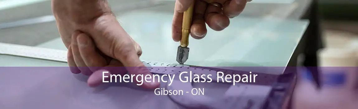 Emergency Glass Repair Gibson - ON