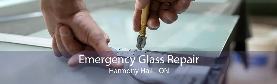 Emergency Glass Repair Harmony Hall - ON