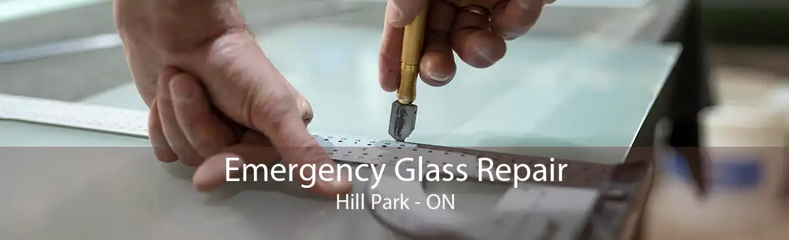 Emergency Glass Repair Hill Park - ON