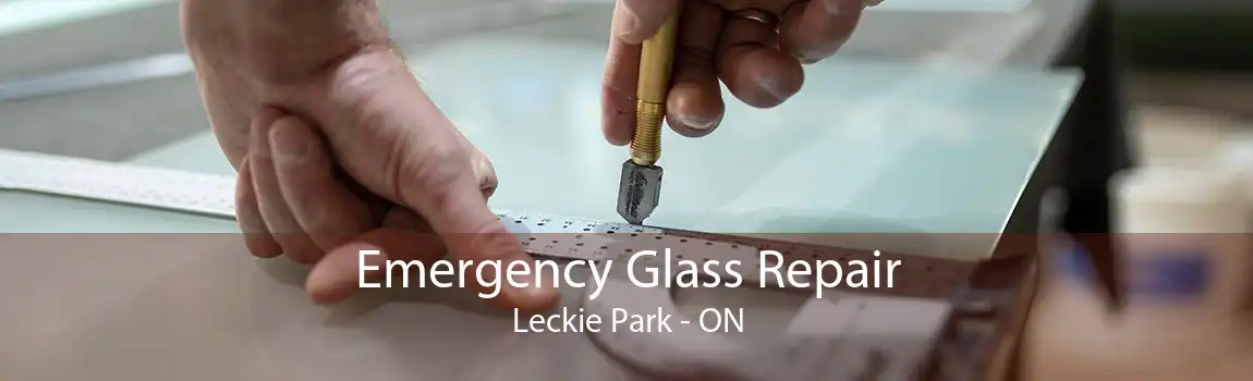Emergency Glass Repair Leckie Park - ON