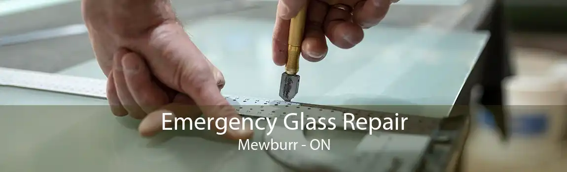 Emergency Glass Repair Mewburr - ON