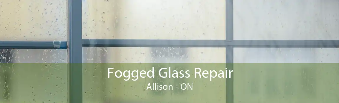 Fogged Glass Repair Allison - ON