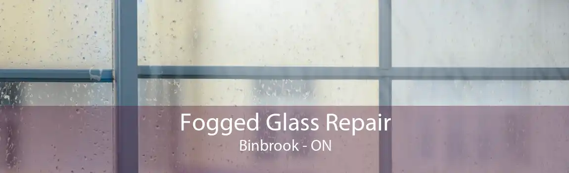 Fogged Glass Repair Binbrook - ON