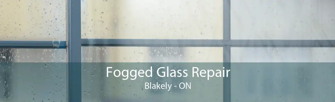 Fogged Glass Repair Blakely - ON