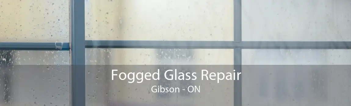 Fogged Glass Repair Gibson - ON