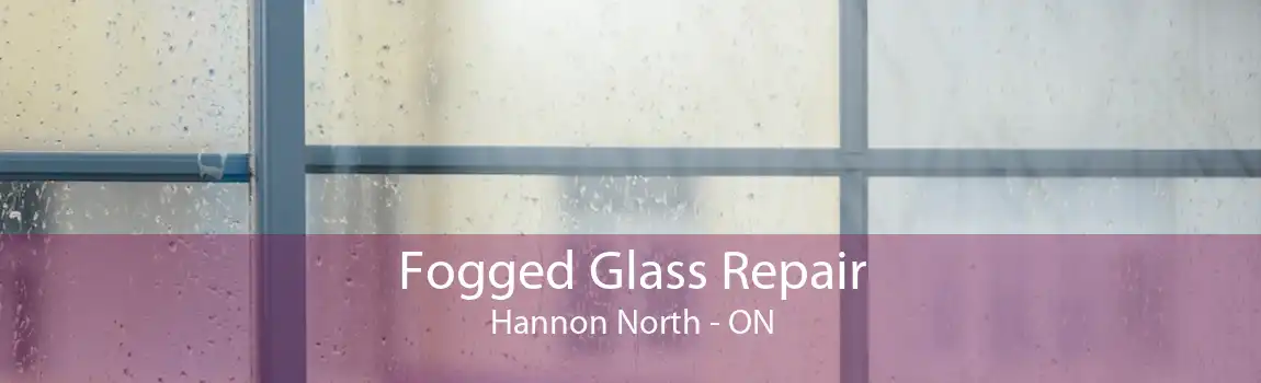 Fogged Glass Repair Hannon North - ON