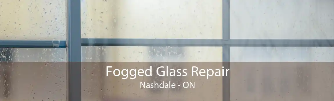 Fogged Glass Repair Nashdale - ON