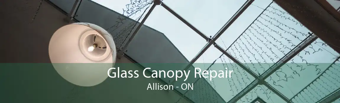 Glass Canopy Repair Allison - ON