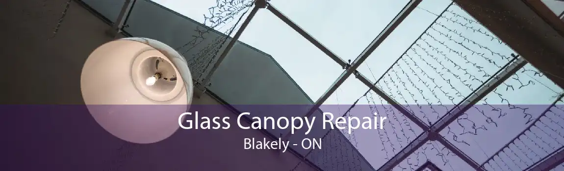 Glass Canopy Repair Blakely - ON
