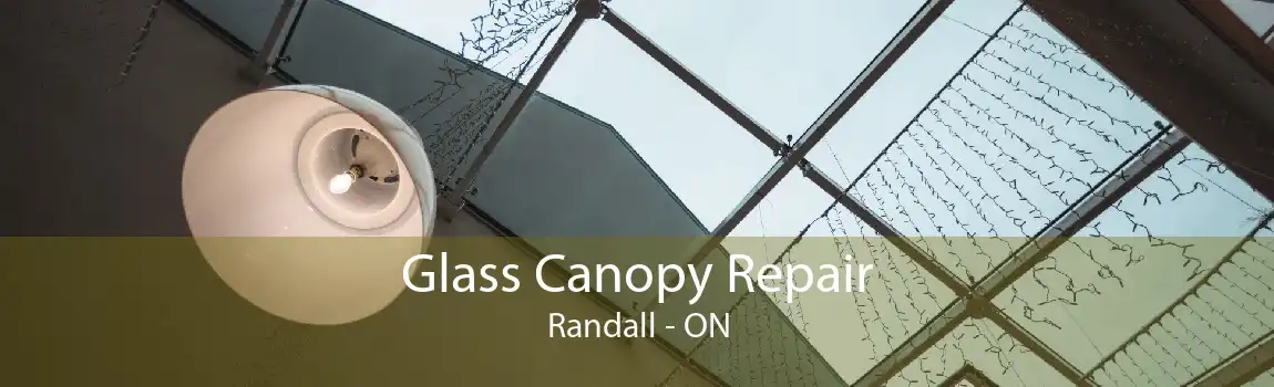 Glass Canopy Repair Randall - ON