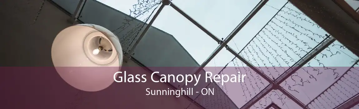 Glass Canopy Repair Sunninghill - ON