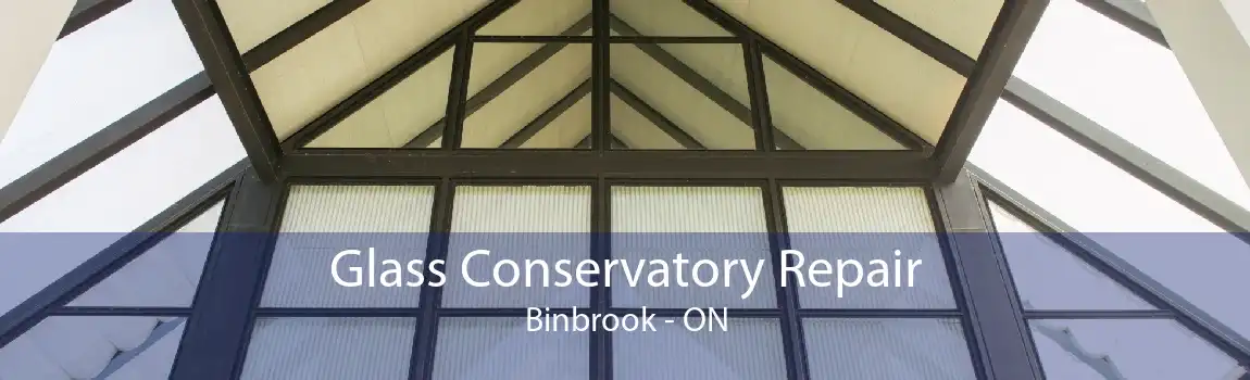 Glass Conservatory Repair Binbrook - ON