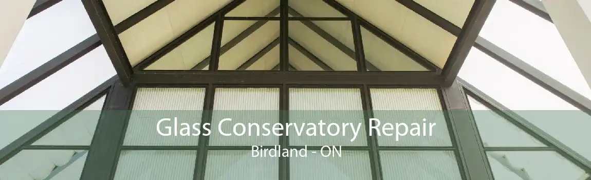 Glass Conservatory Repair Birdland - ON