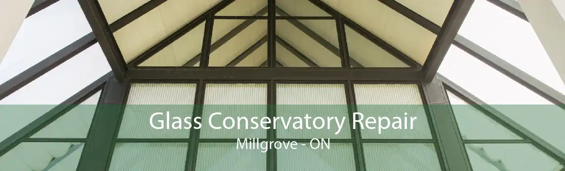 Glass Conservatory Repair Millgrove - ON