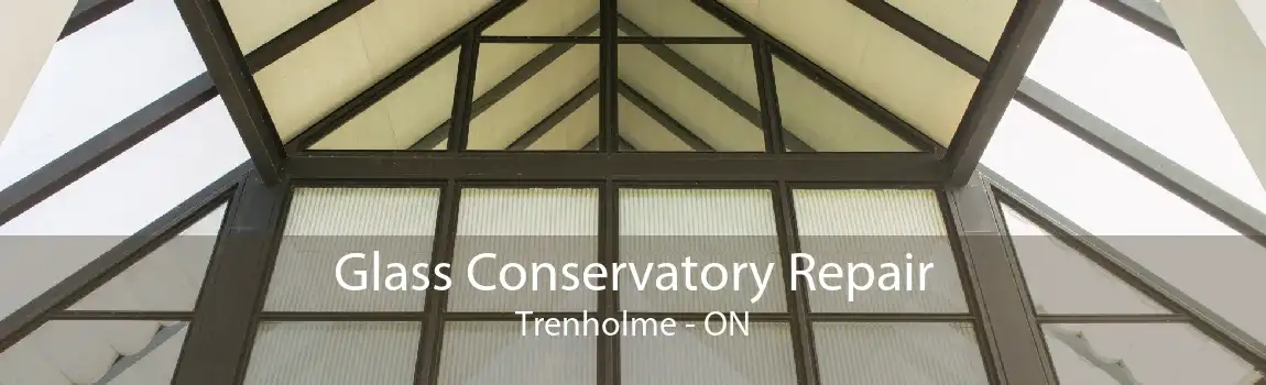 Glass Conservatory Repair Trenholme - ON