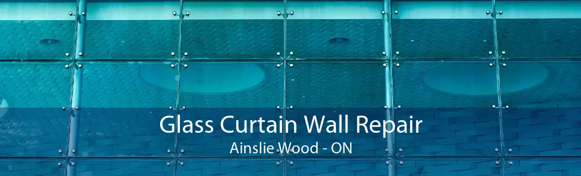 Glass Curtain Wall Repair Ainslie Wood - ON