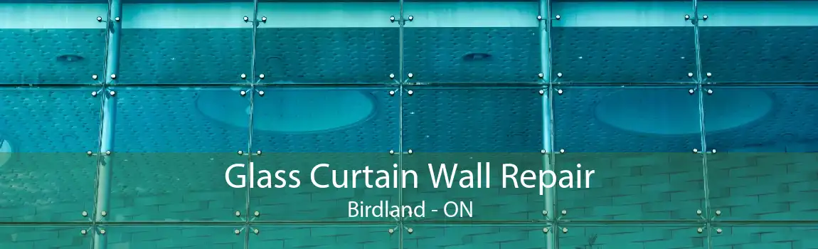Glass Curtain Wall Repair Birdland - ON